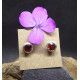 Garnet and Silver Stud Earings