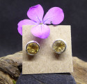 Citrin and Silver Stud Earings