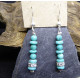 Turquoise Pending Earings