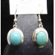 Turquoise Oval Earings