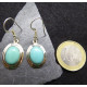 Turquoise Oval Earings