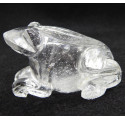 Rock Crystal Frog